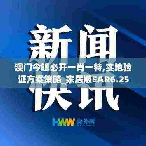 澳门今晚必开一肖一特,实地验证方案策略_家居版EAR6.25