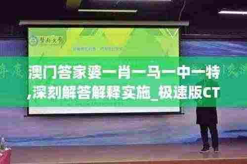 澳门答家婆一肖一马一中一特,深刻解答解释实施_极速版CTT1.15