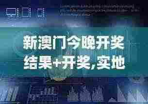 新澳门今晚开奖结果+开奖,实地数据评估分析_闪电版HRJ1.20