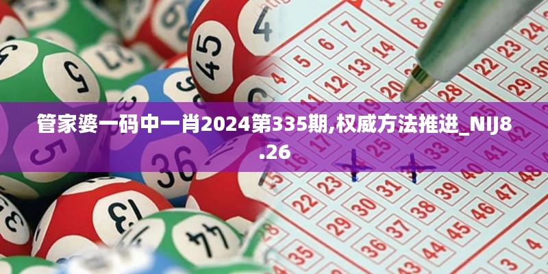 管家婆一码中一肖2024第335期,权威方法推进_NIJ8.26
