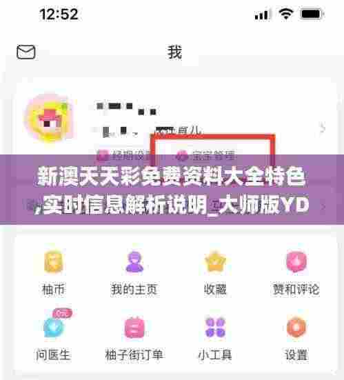 新澳天天彩免费资料大全特色,实时信息解析说明_大师版YDA3.23