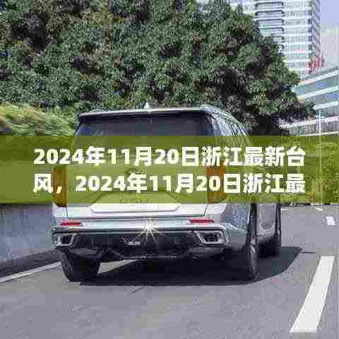 浙江台风最新动态,2024年11月20日台风分析及影响报告