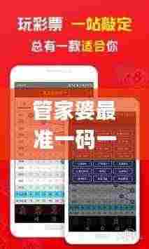 管家婆最准一码一肖,解释落实解答解释_薄荷版IFY3.66