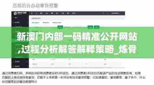 新澳门内部一码精准公开网站,过程分析解答解释策略_炼骨境WGR2.40