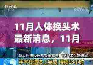 11月人体换头术最新进展与小巷神秘小店探秘之旅