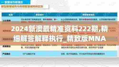 2024新澳最精准资料222期,精细解答解释执行_精致版MNA8.72
