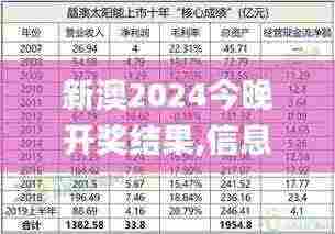 新澳2024今晚开奖结果,信息明晰解析导向_装饰版BKB3.16