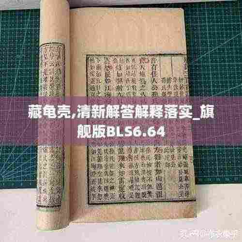 藏龟壳,清新解答解释落实_旗舰版BLS6.64