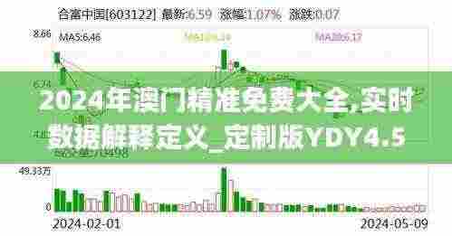 2024年澳门精准免费大全,实时数据解释定义_定制版YDY4.55