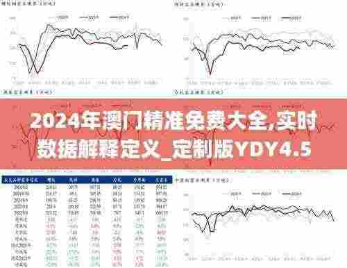 2024年澳门精准免费大全,实时数据解释定义_定制版YDY4.55