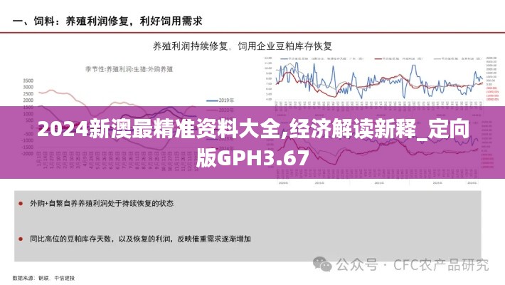 2024新澳最精准资料大全,经济解读新释_定向版GPH3.67