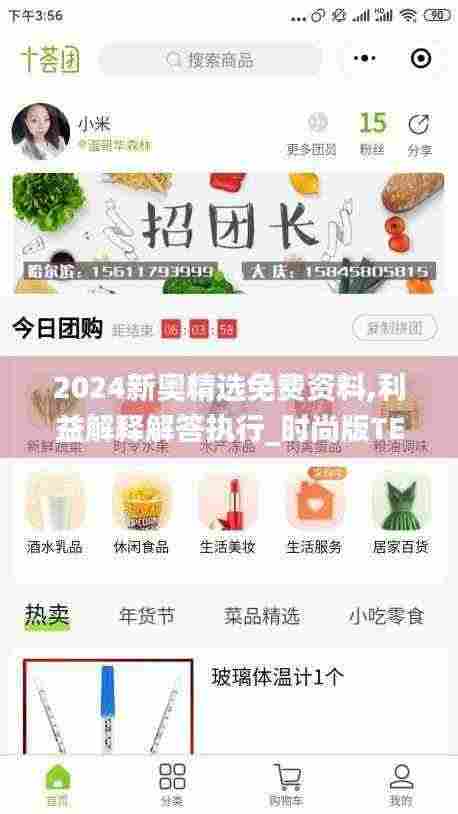 2024新奥精选免费资料,利益解释解答执行_时尚版TEA9.10