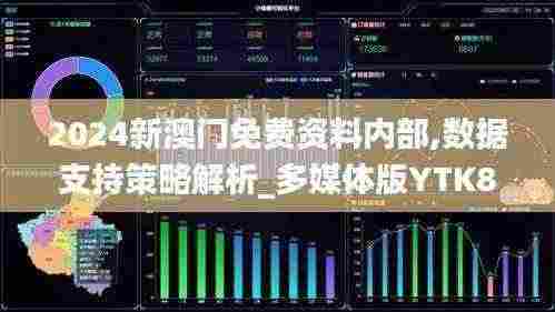 2024新澳门免费资料内部,数据支持策略解析_多媒体版YTK8.20