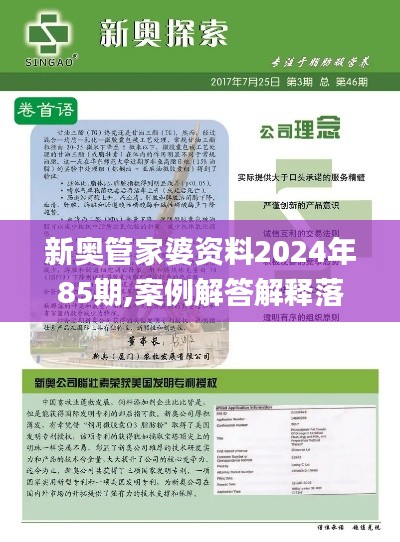 新奥管家婆资料2024年85期,案例解答解释落实_品牌版HUI6.52