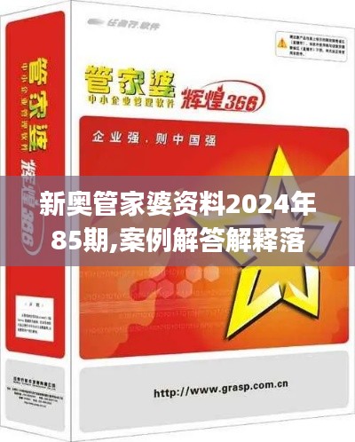 新奥管家婆资料2024年85期,案例解答解释落实_品牌版HUI6.52