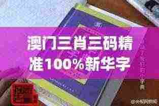 澳门三肖三码精准100%新华字典,精密分析解答解释_融合版EAS9.32