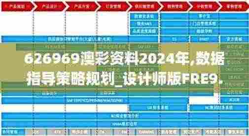 626969澳彩资料2024年,数据指导策略规划_设计师版FRE9.55