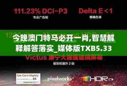 今晚澳门特马必开一肖,智慧解释解答落实_媒体版TXB5.33