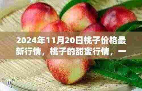桃子甜蜜行情背后的友情与陪伴故事,2024年11月20日最新行情