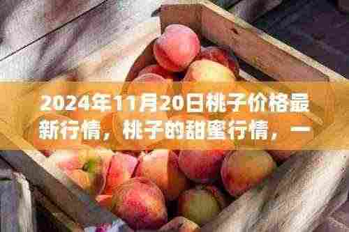桃子甜蜜行情背后的友情与陪伴故事,2024年11月20日最新行情