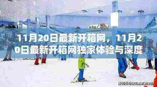 独家体验与深度解析,11月20日最新开箱网开箱体验报告