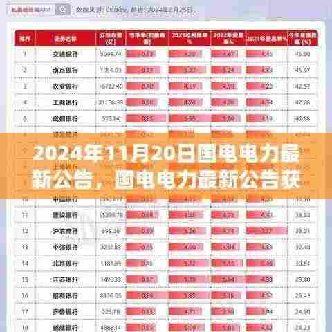 国电电力最新公告获取指南，初学者与进阶用户适用（2024年11月20日）