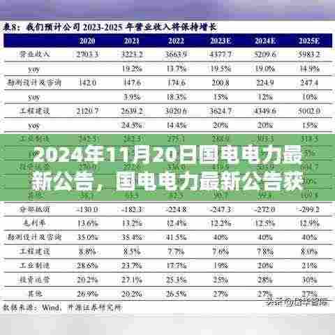 国电电力最新公告获取指南,初学者与进阶用户适用(2024年11月20日)