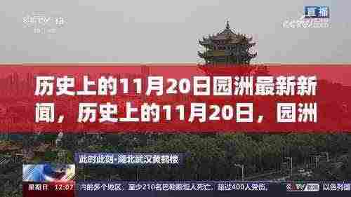 历史上的11月20日园洲新闻回顾与最新动态报道发布