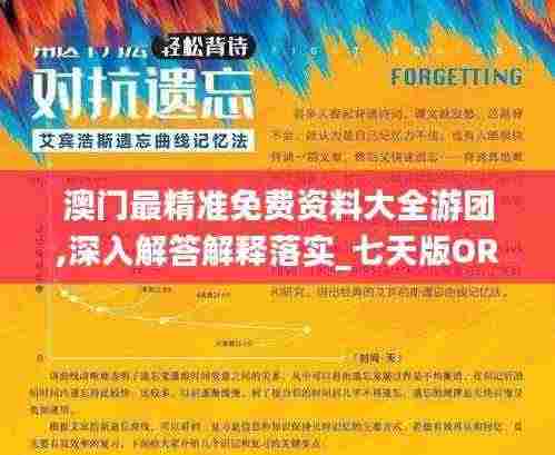 澳门最精准免费资料大全游团,深入解答解释落实_七天版ORS2.11