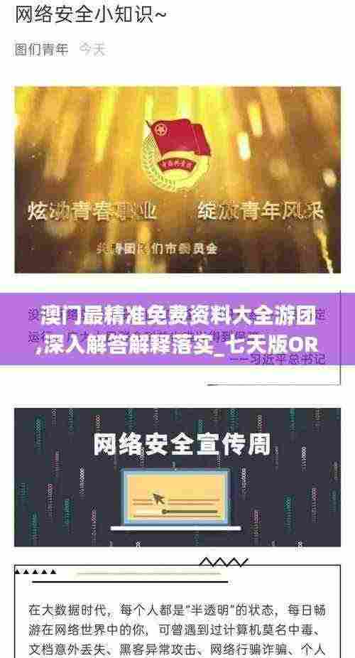 澳门最精准免费资料大全游团,深入解答解释落实_七天版ORS2.11