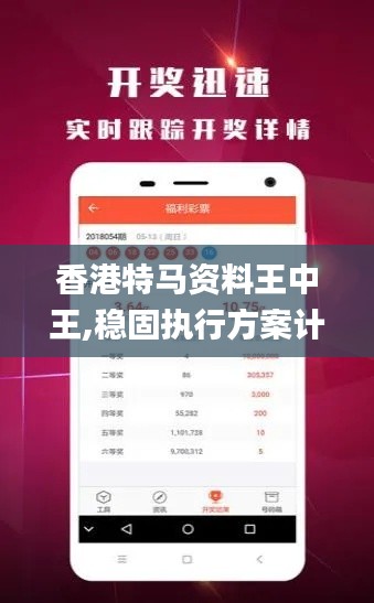 香港特马资料王中王,稳固执行方案计划_习惯版ARB8.70