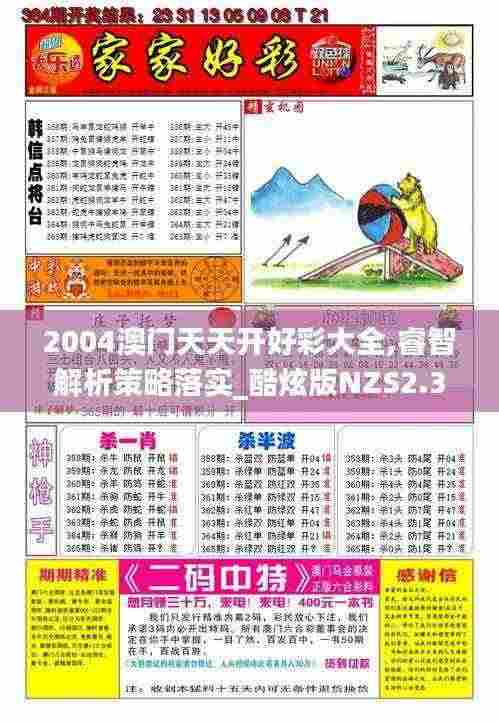 2004澳门天天开好彩大全,睿智解析策略落实_酷炫版NZS2.34