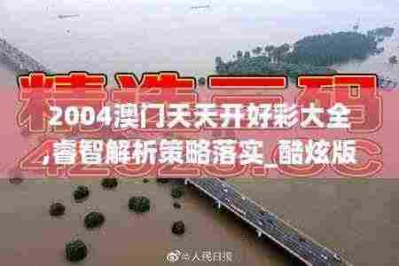 2004澳门天天开好彩大全,睿智解析策略落实_酷炫版NZS2.34