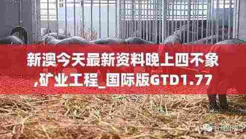 新澳今天最新资料晚上四不象,矿业工程_国际版GTD1.77