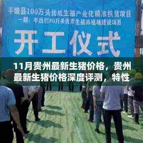 贵州最新生猪价格深度解析,特性、体验、竞品对比与用户洞察
