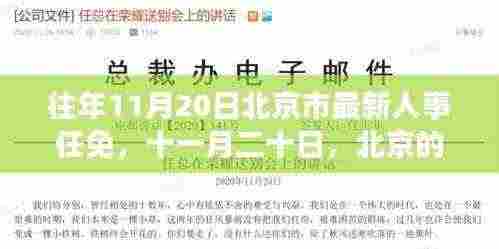 往年11月20日北京市人事任免更新,友情温暖与变迁的十一月二十日