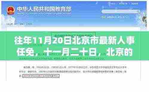 往年11月20日北京市人事任免更新,友情温暖与变迁的十一月二十日