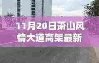 11月20日萧山风情大道高架新貌,变化中的学习力量铸就自信与成就之路