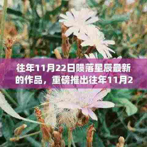 往年11月22日陨落星辰最新的作品,重磅推出往年11月22日陨落星辰之作——全新高科技产品的震撼登场与体验