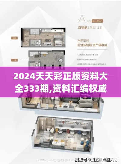 2024天天彩正版资料大全333期,资料汇编权威解读_VKU9.67