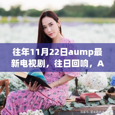 往年11月22日Aump经典电视剧往日回响,新剧回顾与深远影响分析