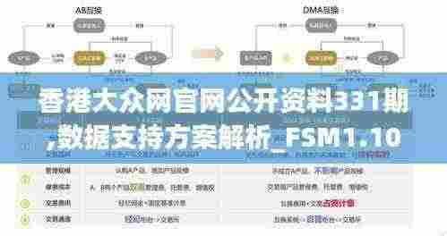 香港大众网官网公开资料331期,数据支持方案解析_FSM1.10