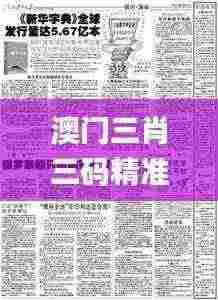 澳门三肖三码精准100%新华字典329期,机谋解答解释落实_BAX7.57