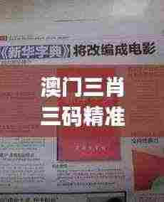 澳门三肖三码精准100%新华字典329期,机谋解答解释落实_BAX7.57
