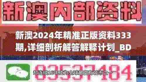 新澳2024年精准正版资料333期,详细剖析解答解释计划_BDL4.49