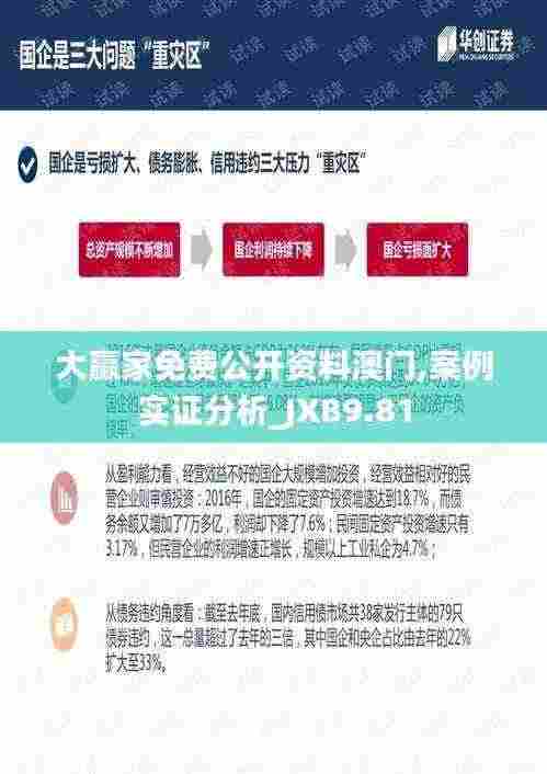 大赢家免费公开资料澳门,案例实证分析_JXB9.81