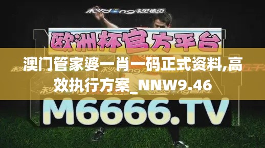 澳门管家婆一肖一码正式资料,高效执行方案_NNW9.46