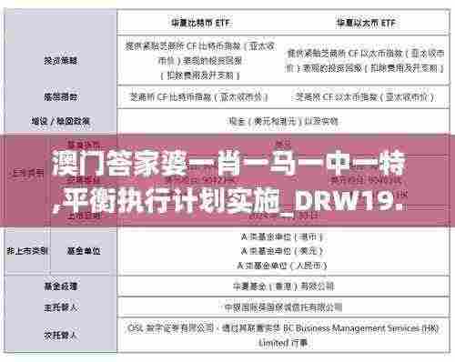 澳门答家婆一肖一马一中一特,平衡执行计划实施_DRW19.92