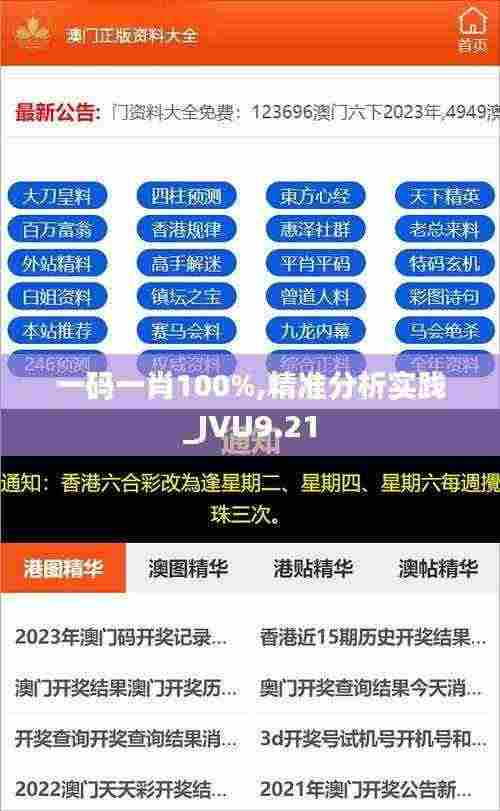 一码一肖100%,精准分析实践_JVU9.21