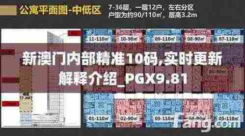 新澳门内部精准10码,实时更新解释介绍_PGX9.81